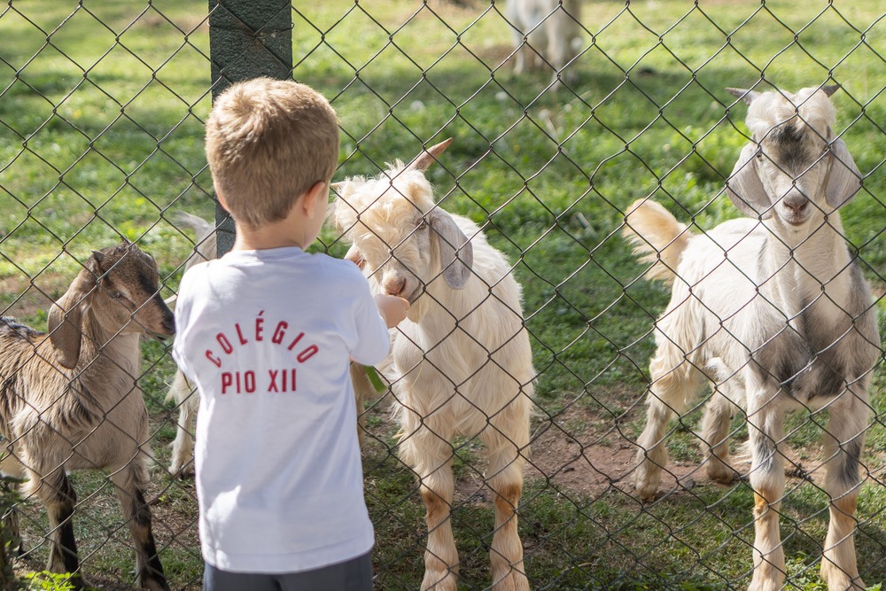 Educação Infantil Educação Infantil